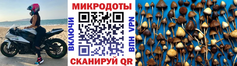 Галлюциногенные грибы MAGIC MUSHROOMS Любим